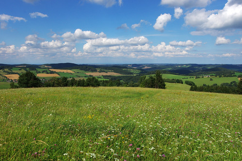 Rozlehlá krajina Vysočiny – zelené louky s výhledem do kraje